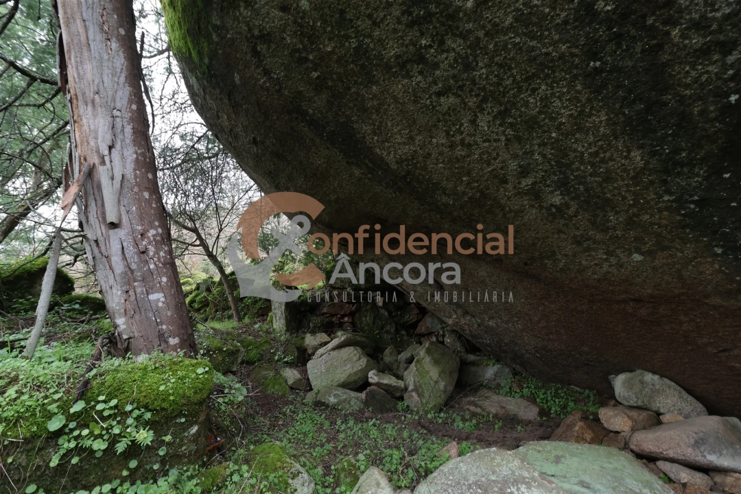 Terreno para Venda em Ribamondego Foto 18