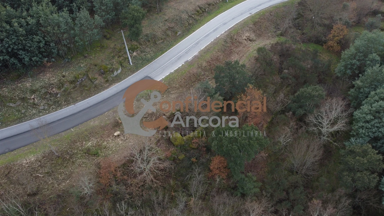 Terreno para Venda em Ribamondego Foto 38