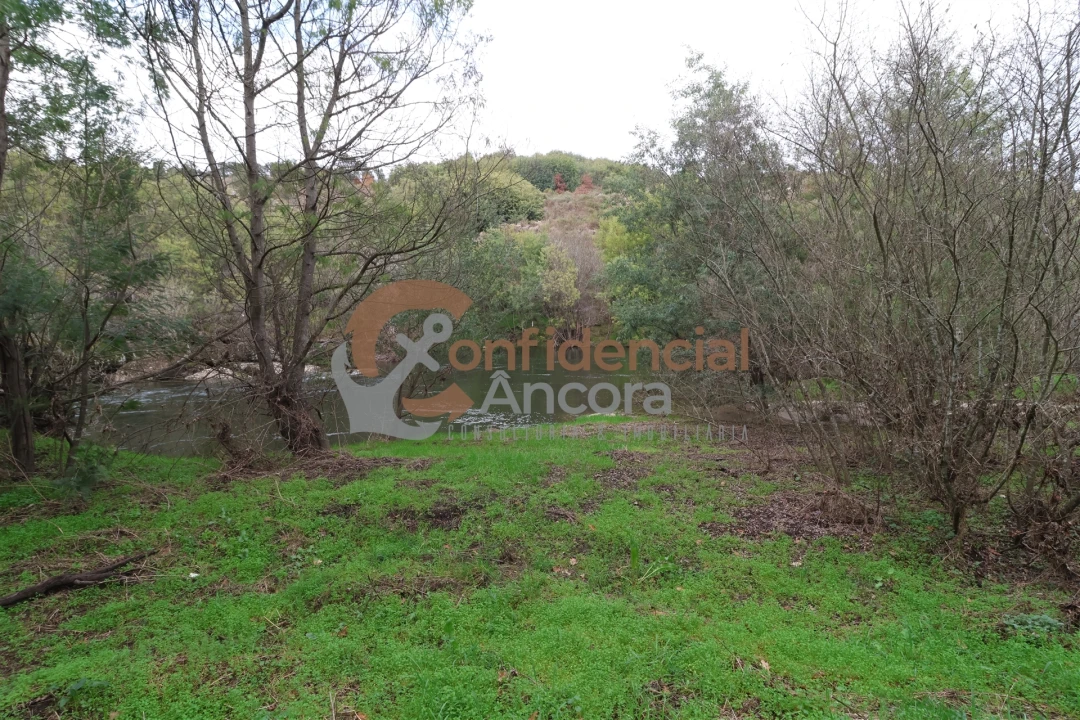 Terreno para Venda em Ribamondego Foto 22