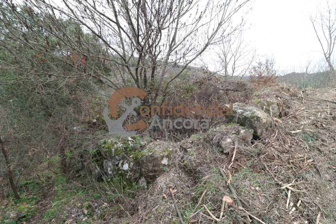 Terreno para Venda em Ribamondego Foto 25