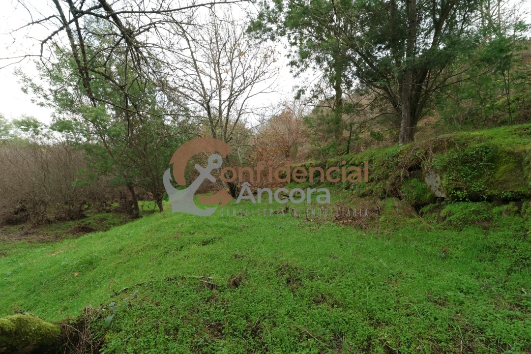 Terreno para Venda em Ribamondego Foto 15