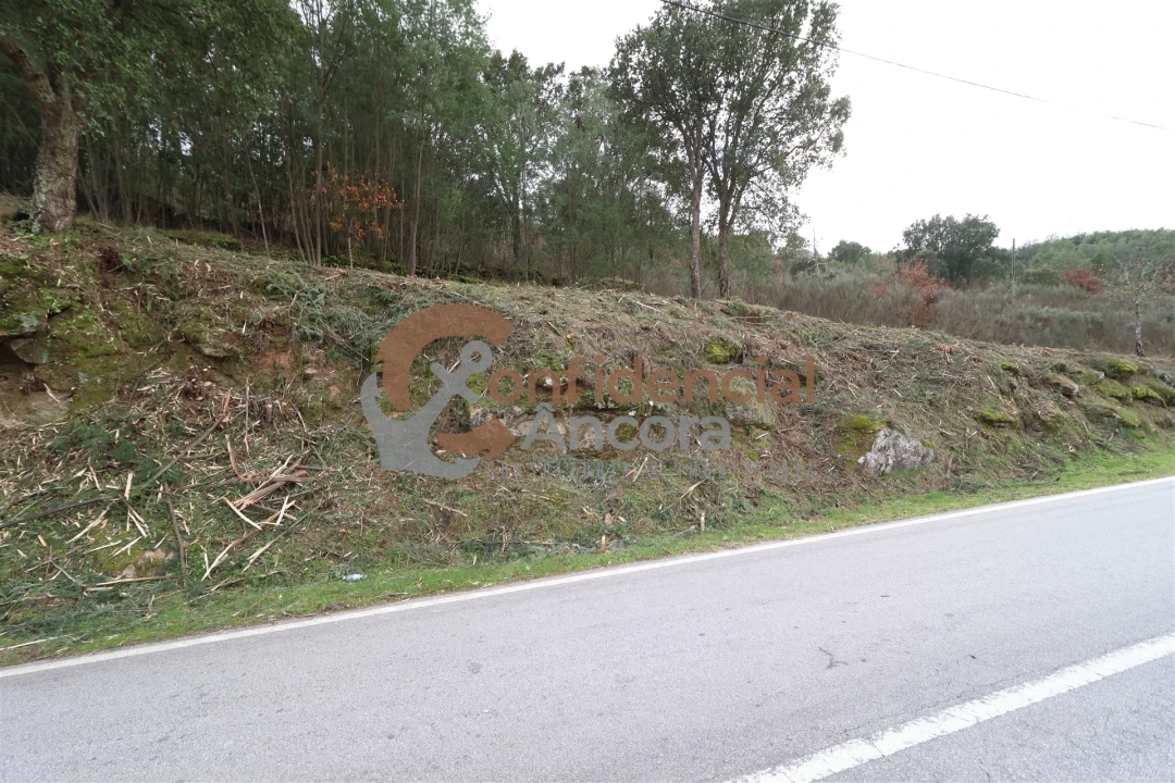 Terreno para Venda em Ribamondego Foto 27