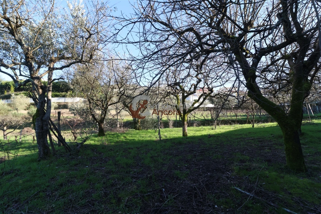 Moradia T3 para Venda em Gouveia (São Pedro e São Julião) Foto 16