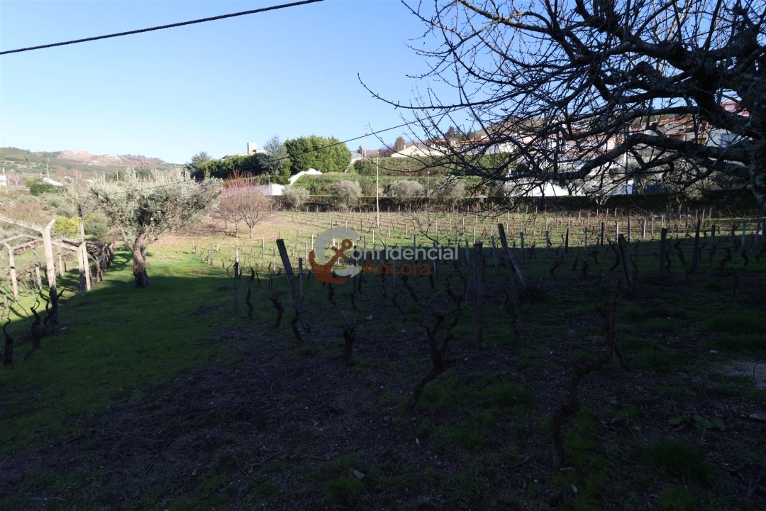 Moradia T3 para Venda em Gouveia (São Pedro e São Julião) Foto 4