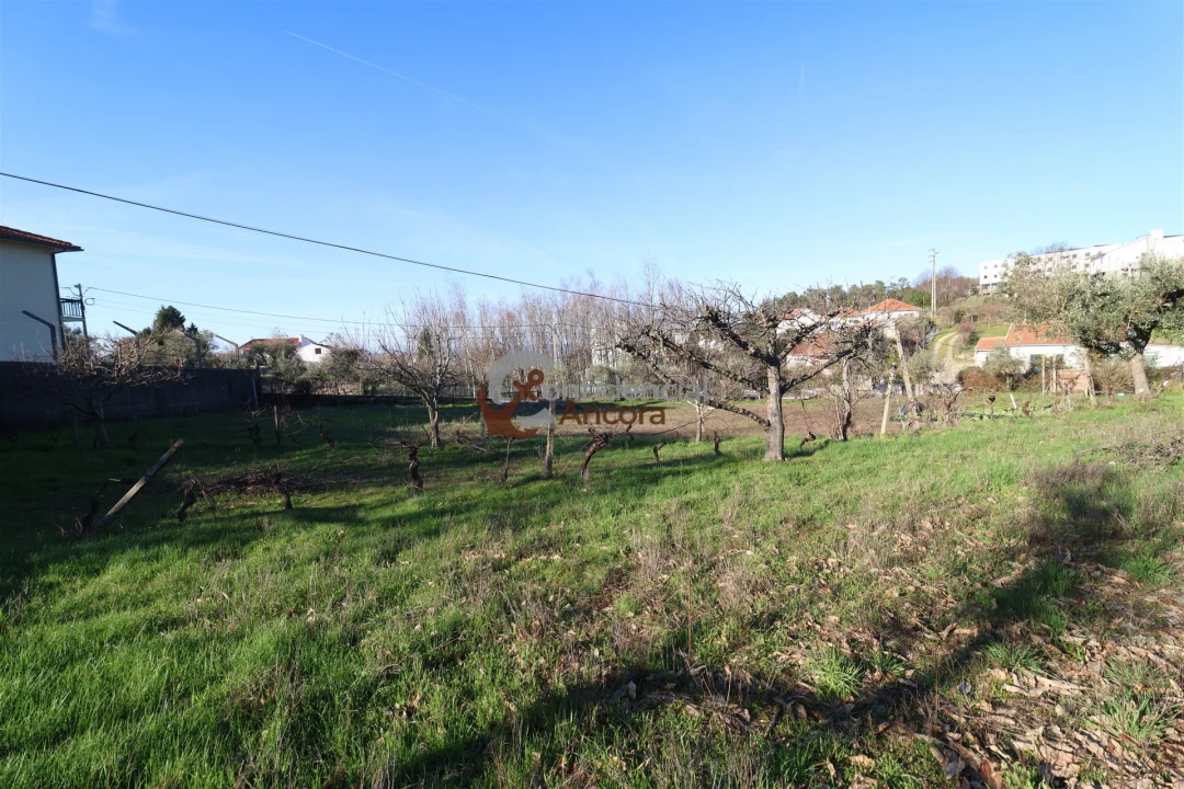 Moradia T3 para Venda em Gouveia (São Pedro e São Julião) Foto 7