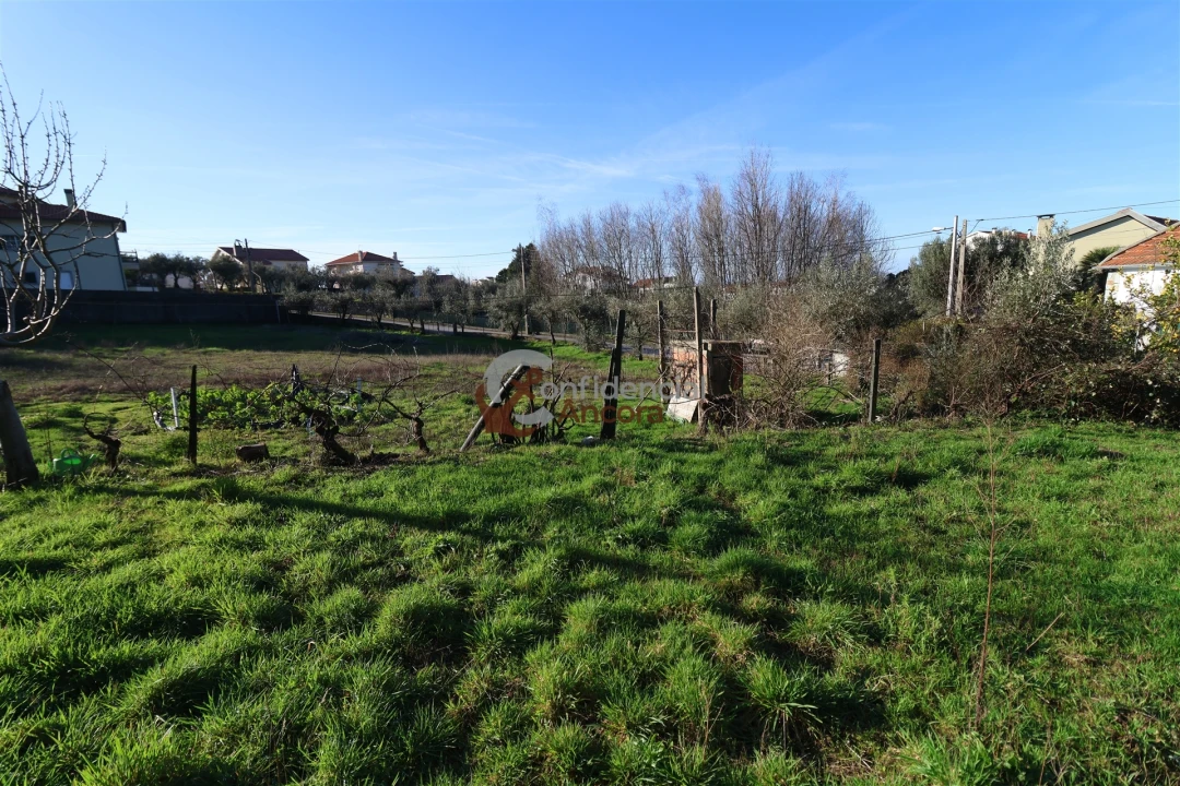 Moradia T3 para Venda em Gouveia (São Pedro e São Julião) Foto 13