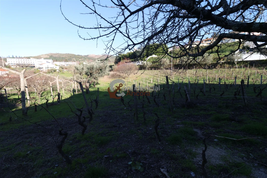 Moradia T3 para Venda em Gouveia (São Pedro e São Julião) Foto 3