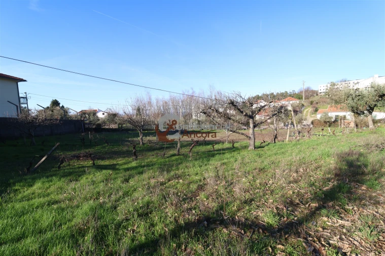 Moradia T3 para Venda em Gouveia (São Pedro e São Julião) Foto 7