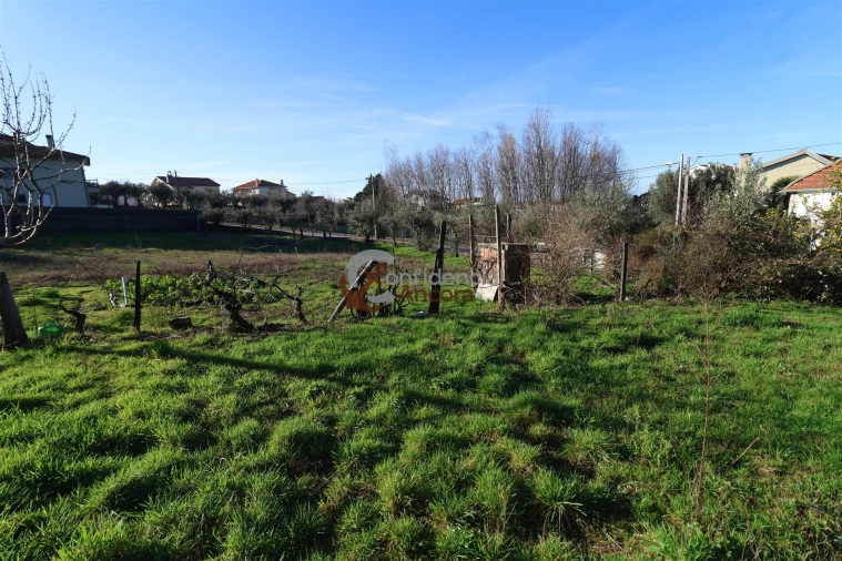 Moradia T3 para Venda em Gouveia (São Pedro e São Julião) Foto 13