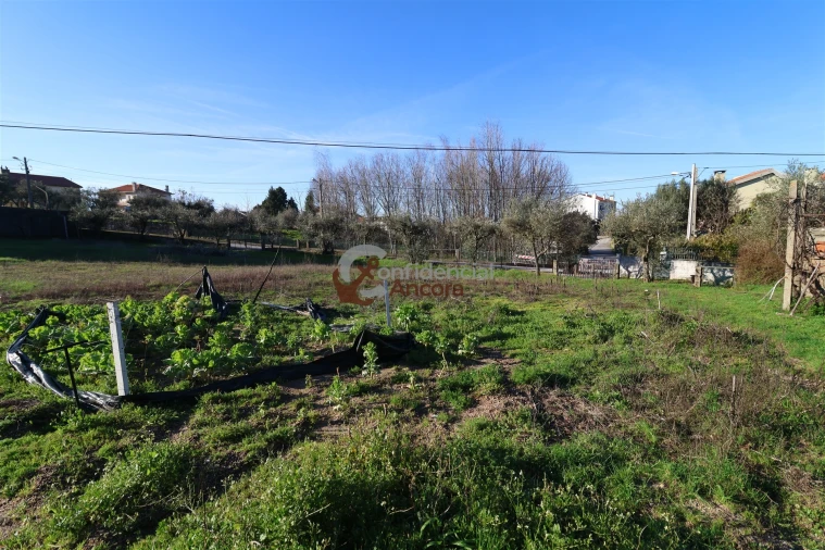 Moradia T3 para Venda em Gouveia (São Pedro e São Julião) Foto 14