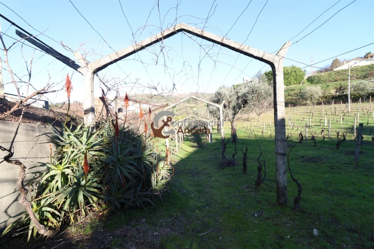 Moradia T3 para Venda em Gouveia (São Pedro e São Julião) Foto 5
