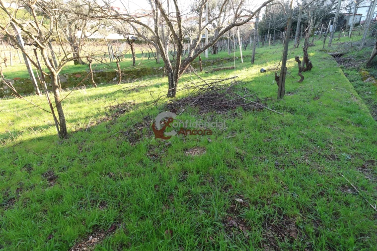 Moradia T3 para Venda em Gouveia (São Pedro e São Julião) Foto 18