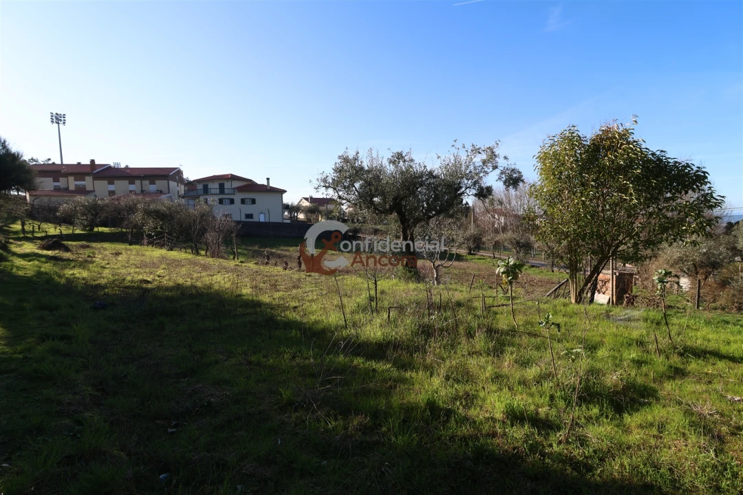 Moradia T3 para Venda em Gouveia (São Pedro e São Julião) Foto 9