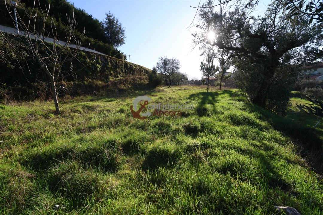 Moradia T3 para Venda em Gouveia (São Pedro e São Julião) Foto 11