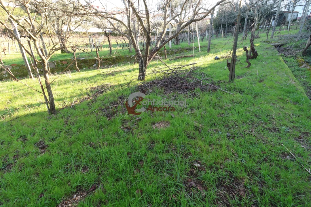 Moradia T3 para Venda em Gouveia (São Pedro e São Julião) Foto 18