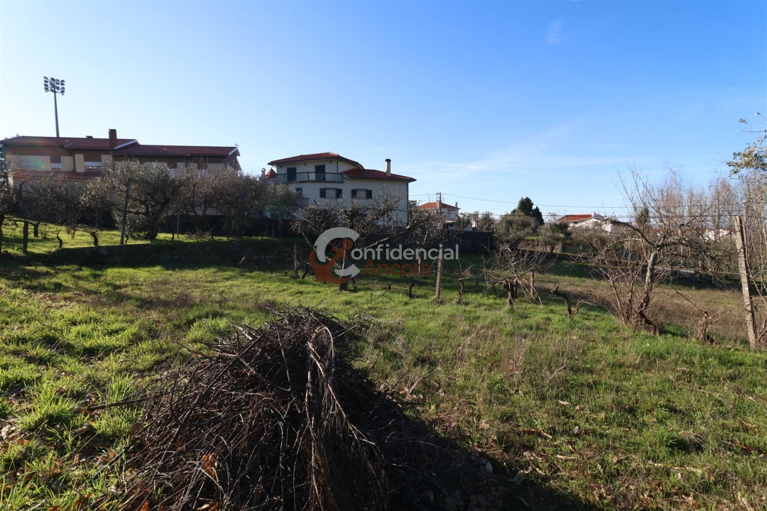 Moradia T3 para Venda em Gouveia (São Pedro e São Julião) Foto 8