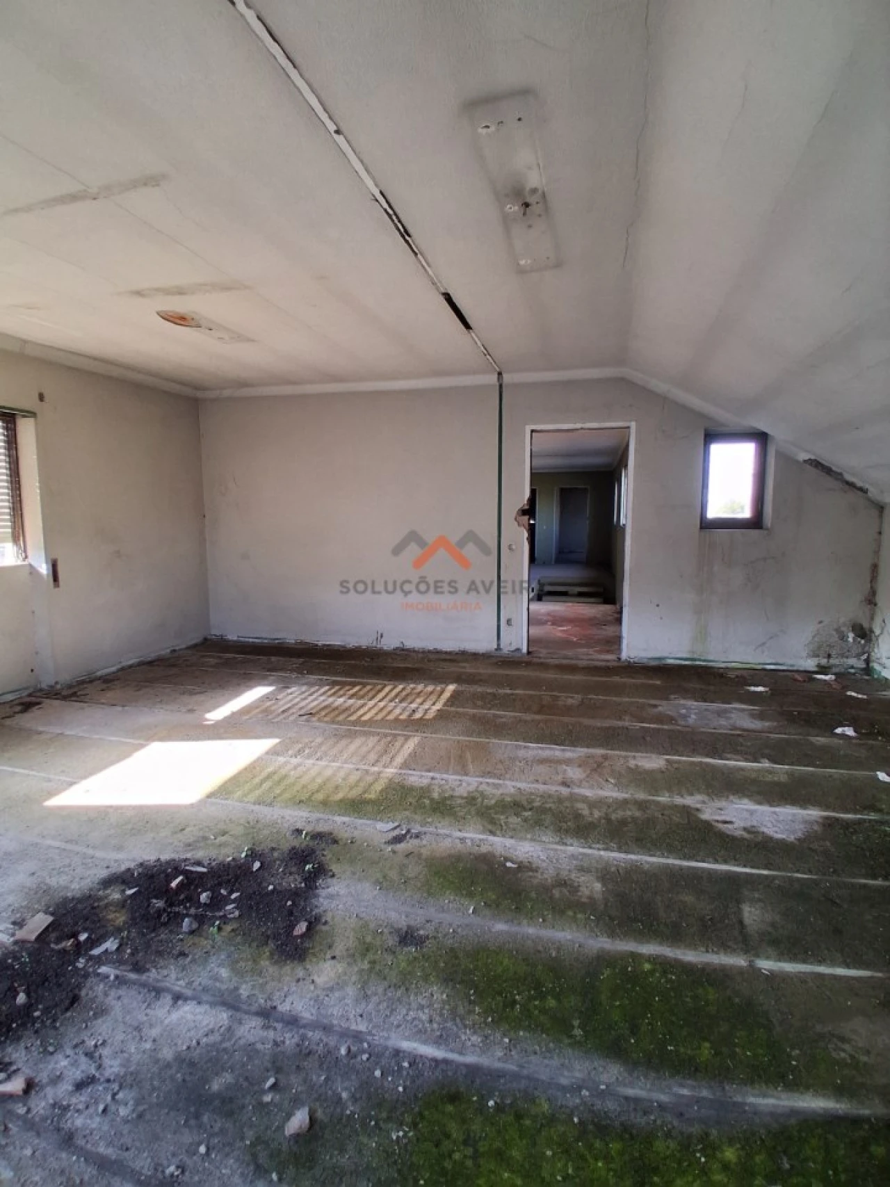 Loja para Venda em Águeda e Borralha Foto 44