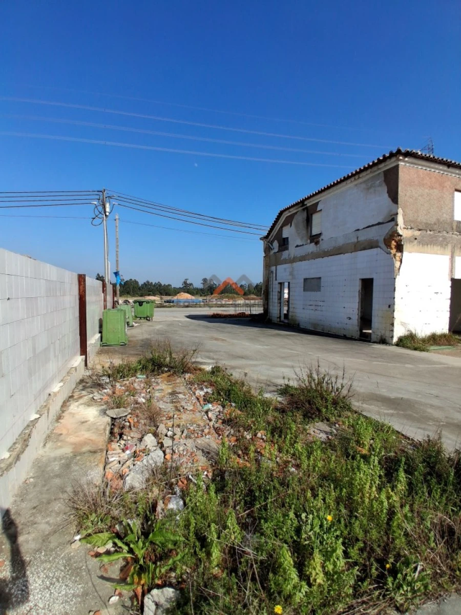 Loja para Venda em Águeda e Borralha Foto 7
