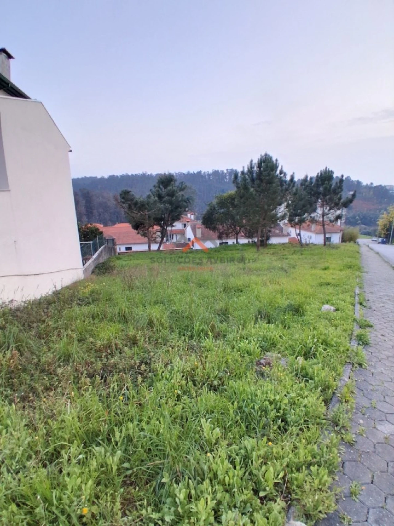 Terreno para Venda em Águeda e Borralha Foto 3