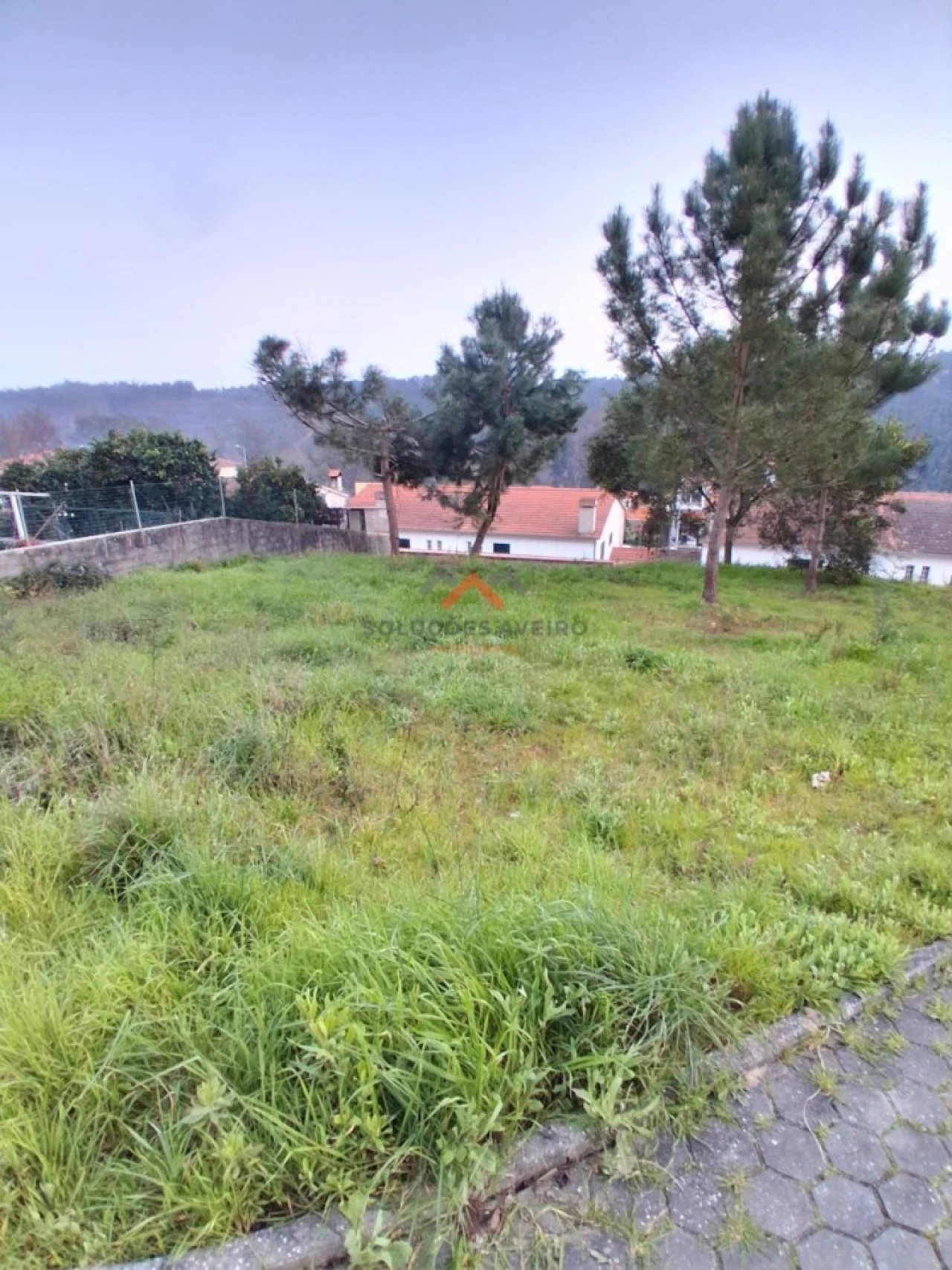 Terreno para Venda em Águeda e Borralha Foto 4