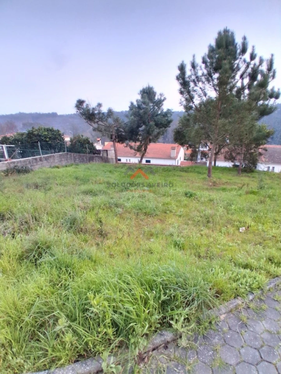 Terreno para Venda em Águeda e Borralha Foto 4