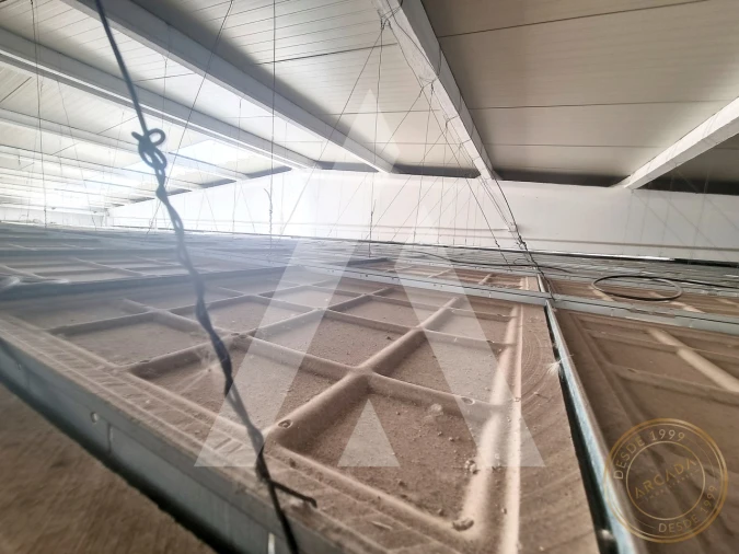 Armazém para Venda em Quinta do Anjo Foto 20