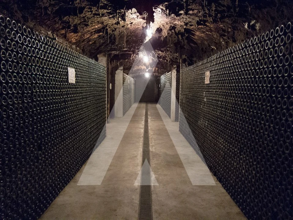 Negócio para Venda em Arcos e Mogofores Foto 5