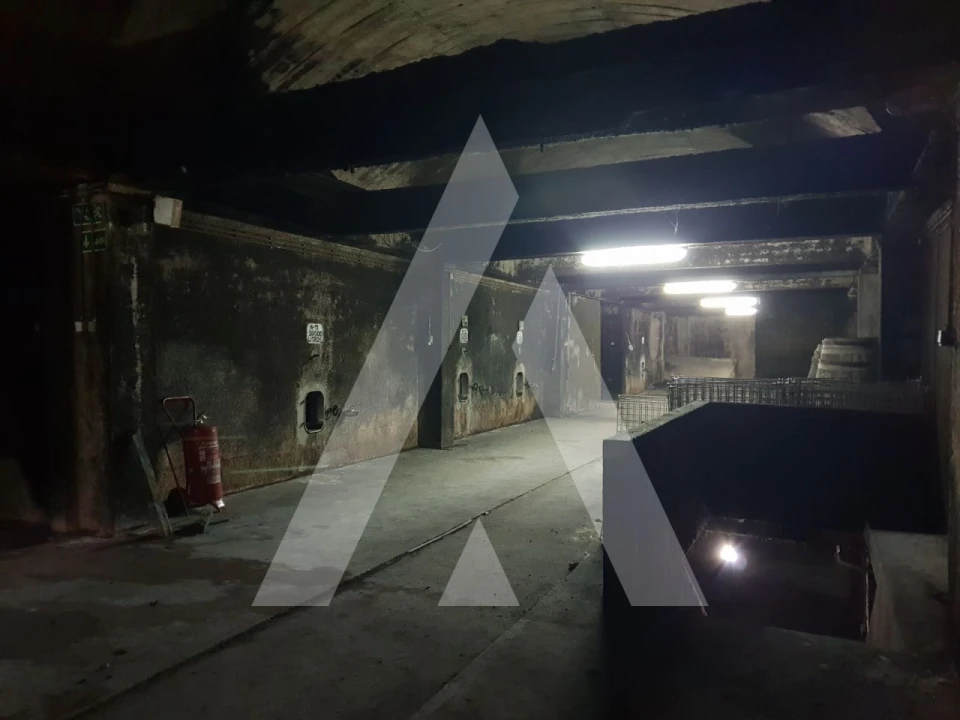 Negócio para Venda em Arcos e Mogofores Foto 12