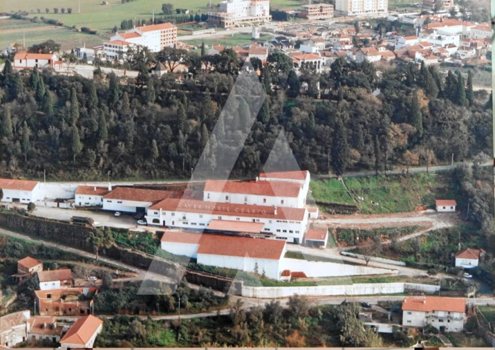 Negócio para Venda em Arcos e Mogofores Foto 2