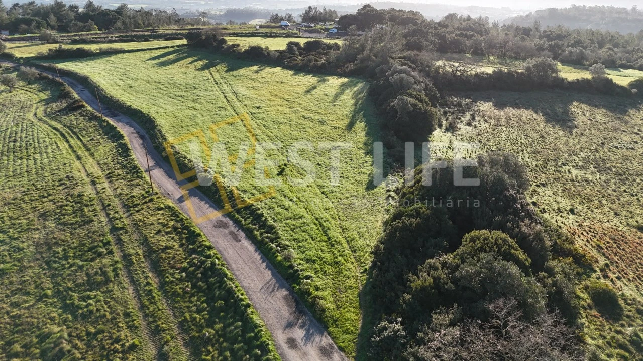 Terreno Agricola ou Rústico para Venda em Milharado Foto 6