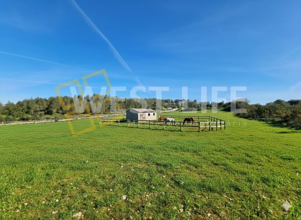 Terreno Agricola ou Rústico para Venda em Milharado Foto 17