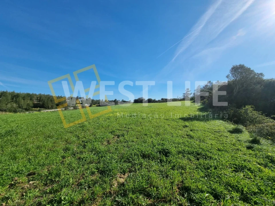 Terreno Agricola ou Rústico para Venda em Milharado Foto 9
