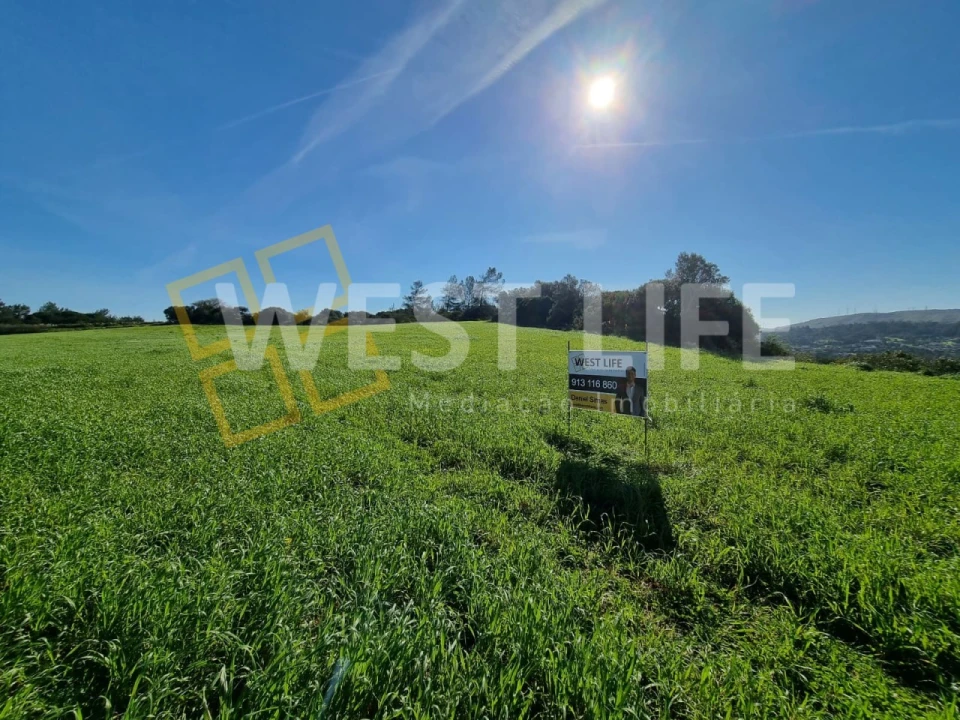 Terreno Agricola ou Rústico para Venda em Milharado Foto 11