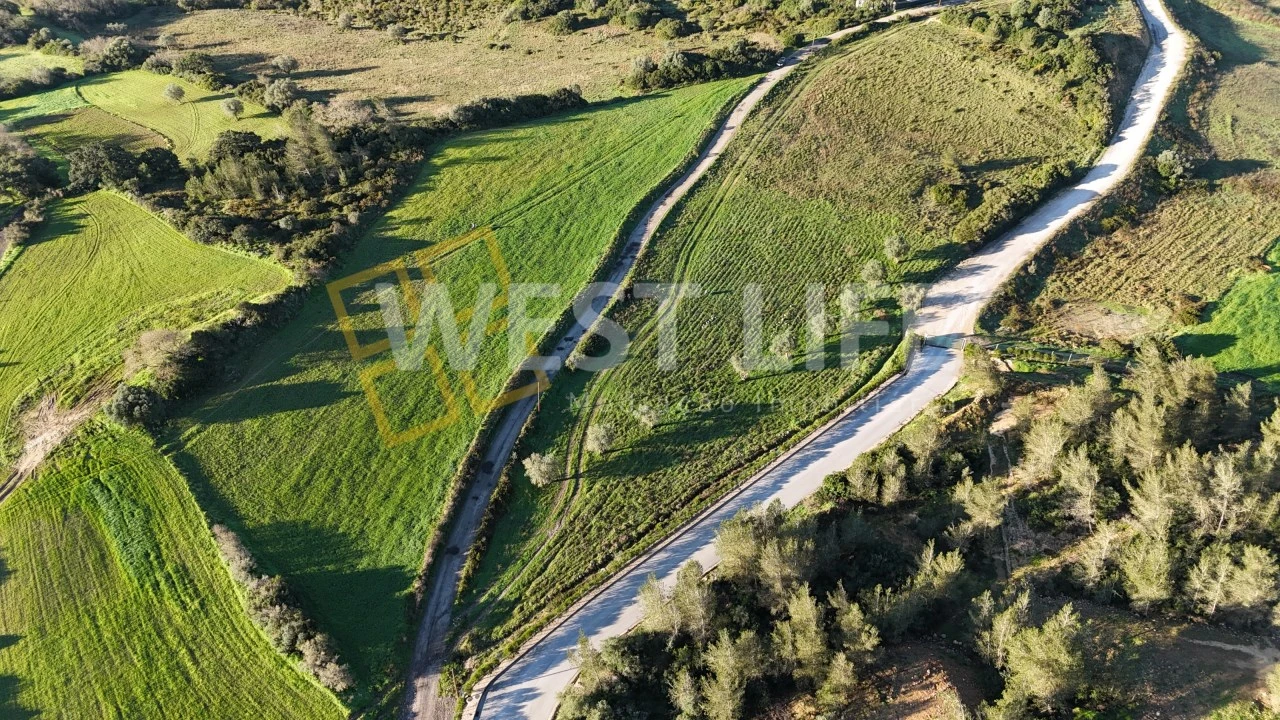 Terreno Agricola ou Rústico para Venda em Milharado Foto 12