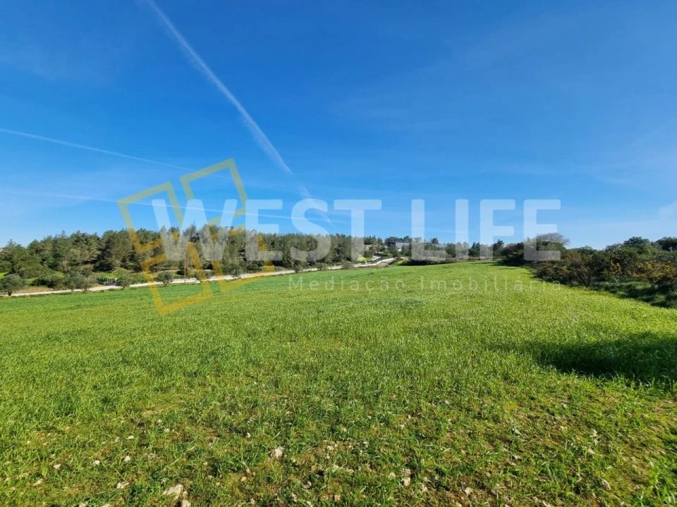 Terreno Agricola ou Rústico para Venda em Milharado Foto 15