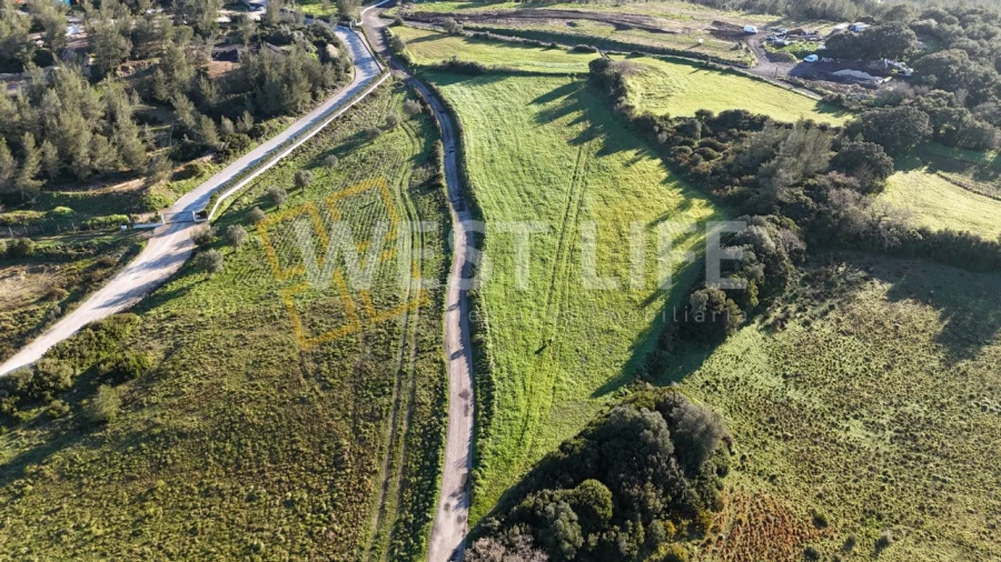Terreno Agricola ou Rústico para Venda em Milharado Foto 5