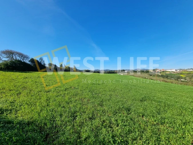 Terreno Agricola ou Rústico para Venda em Milharado Foto 7