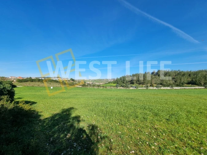 Terreno Agricola ou Rústico para Venda em Milharado