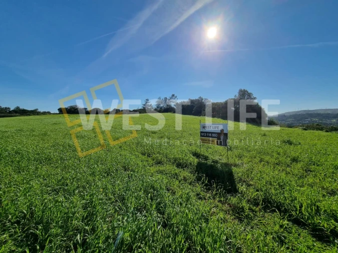 Terreno Agricola ou Rústico para Venda em Milharado Foto 11
