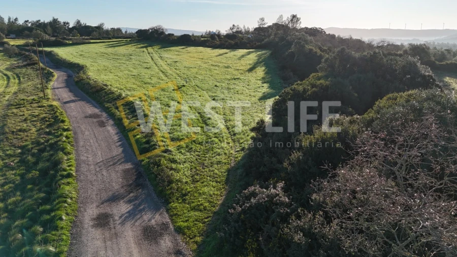 Terreno Agricola ou Rústico para Venda em Milharado Foto 13