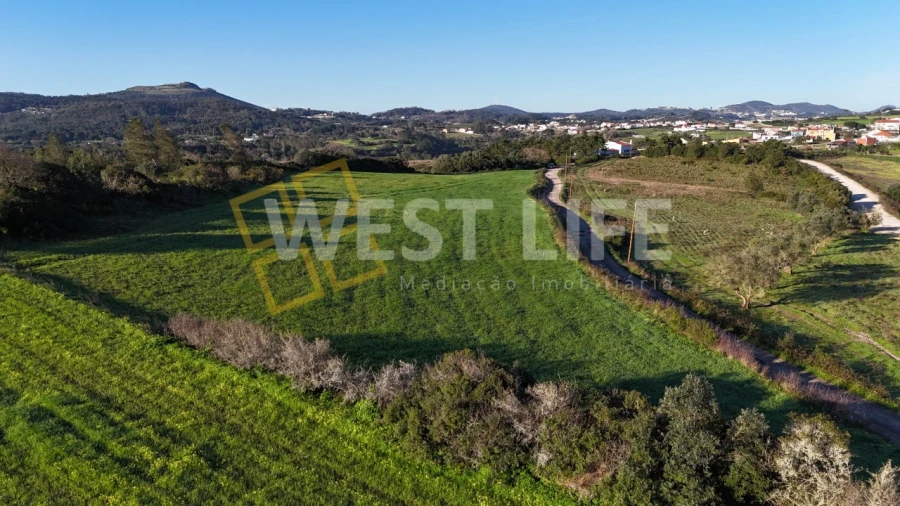 Terreno Agricola ou Rústico para Venda em Milharado Foto 14