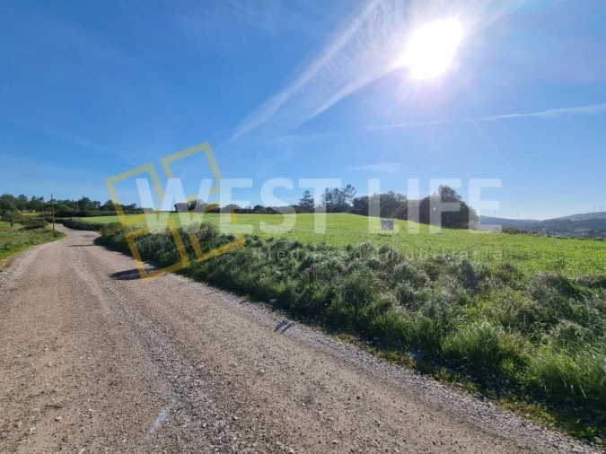 Terreno Agricola ou Rústico para Venda em Milharado Foto 16