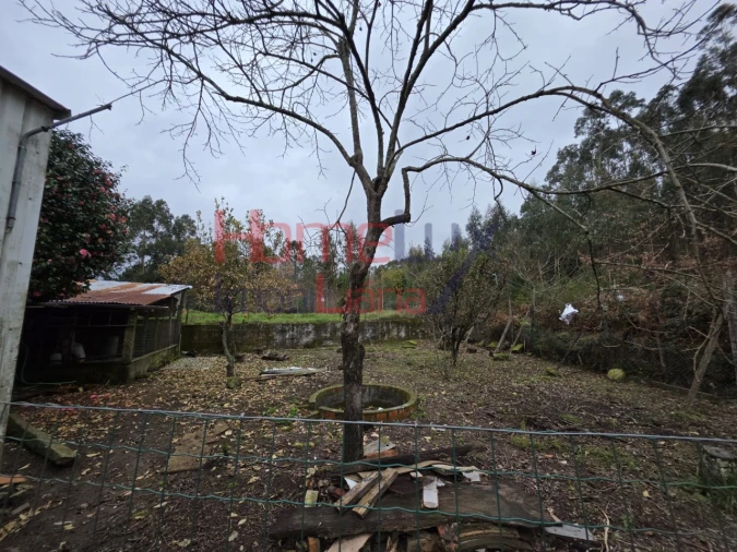 Moradia T3 para Venda em Silva Escura e Dornelas Foto 6