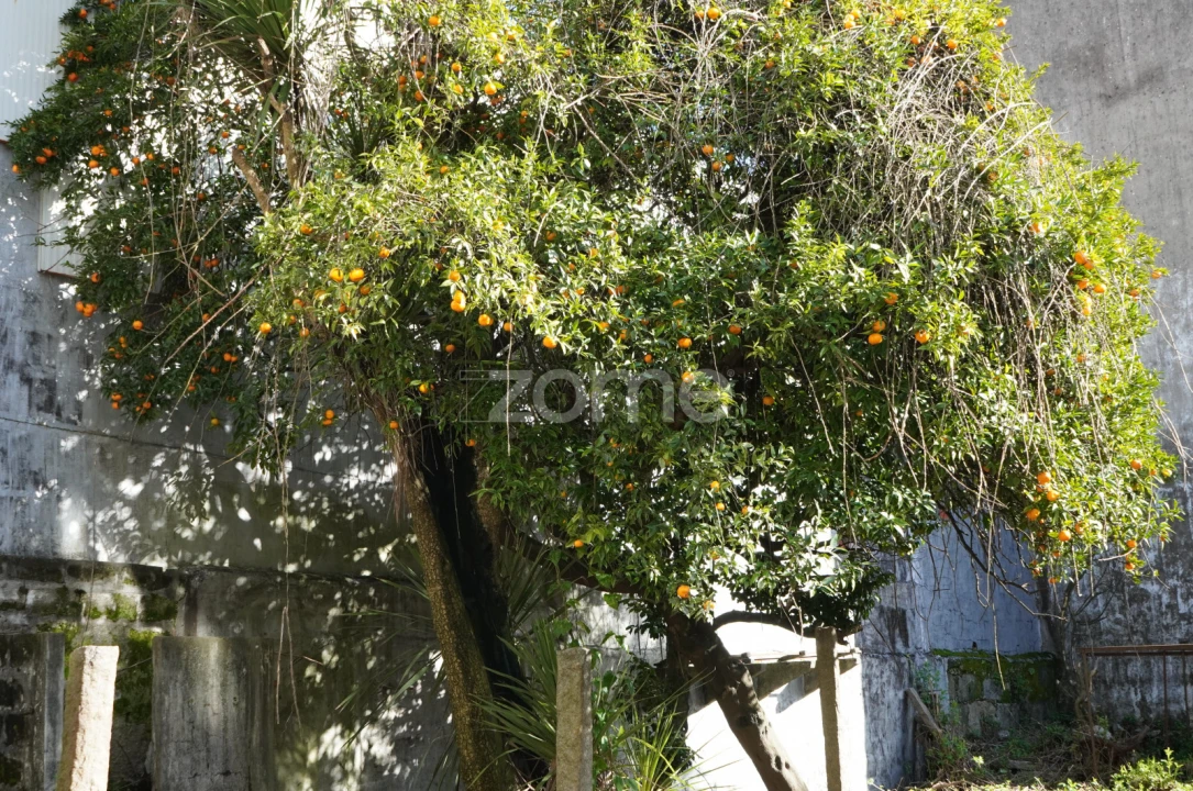 Prédio para Venda em Cedofeita, Santo Ildefonso, Sé, Miragaia, São Nicolau e Vitória Foto 72