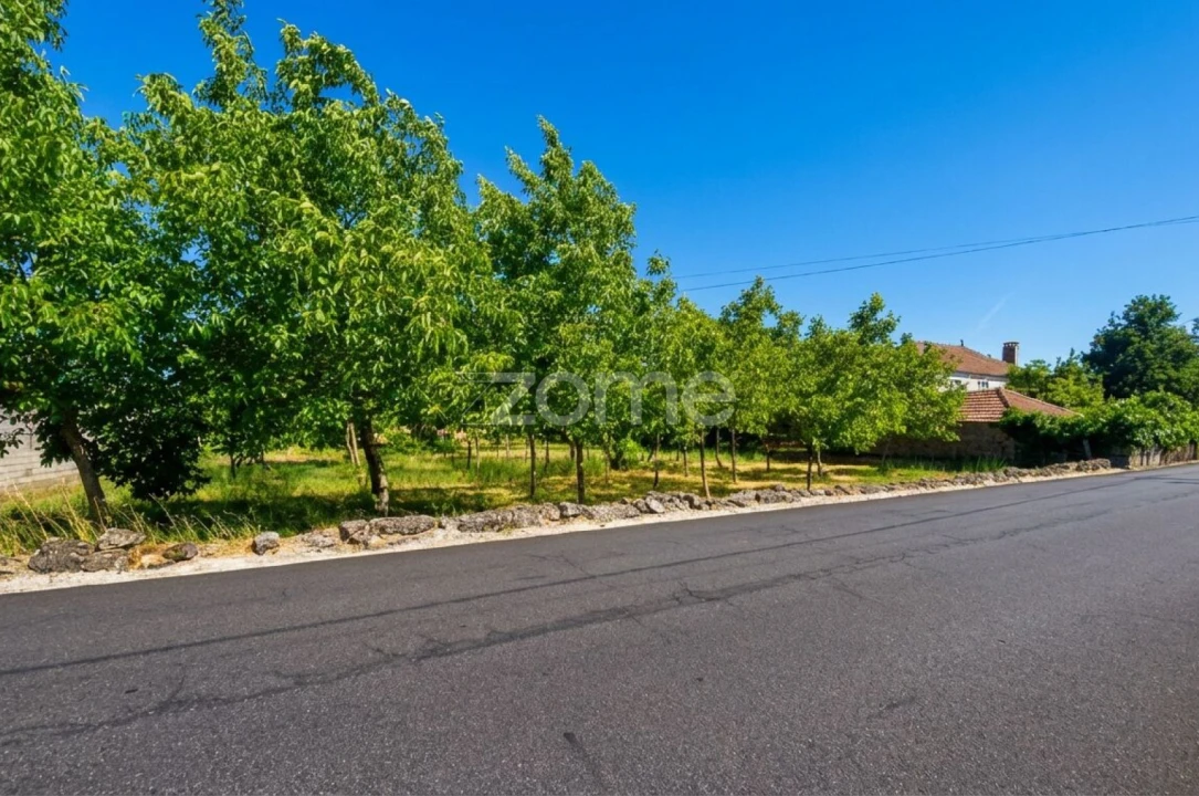 Terreno para Venda em Águas Boas e Forles Foto 9