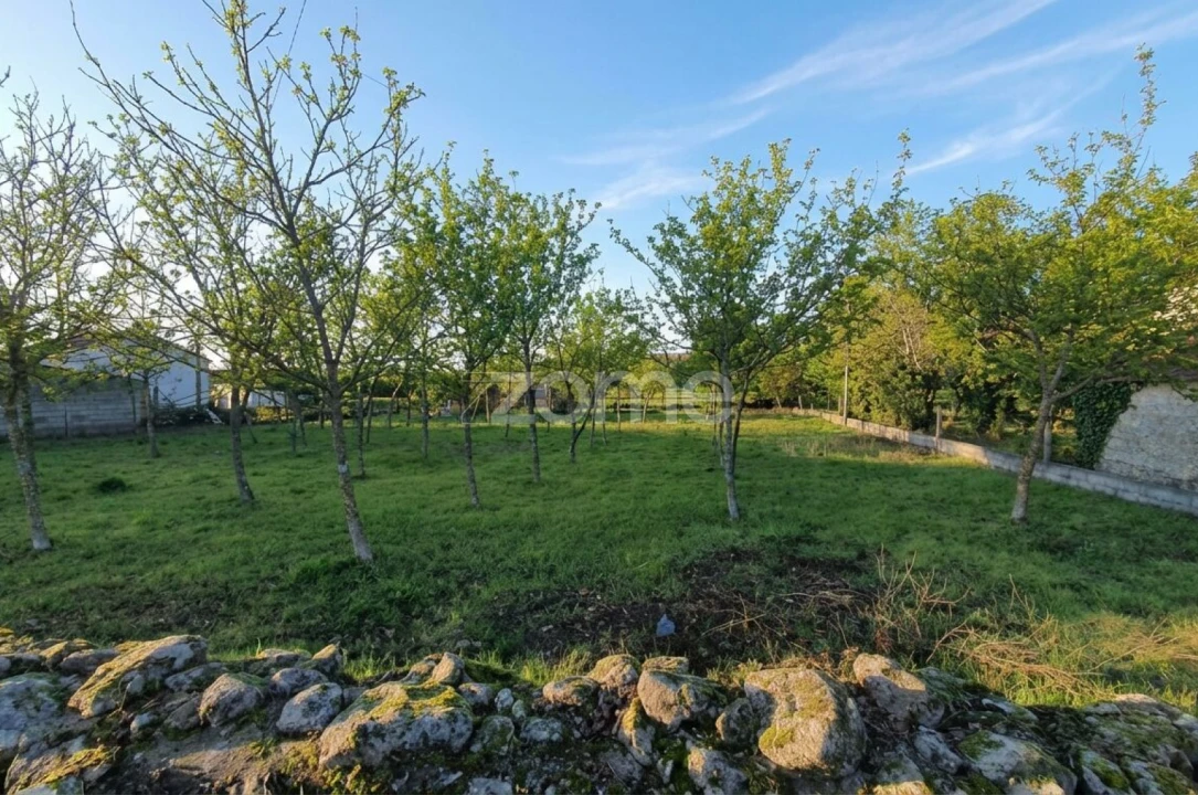 Terreno para Venda em Águas Boas e Forles Foto 10