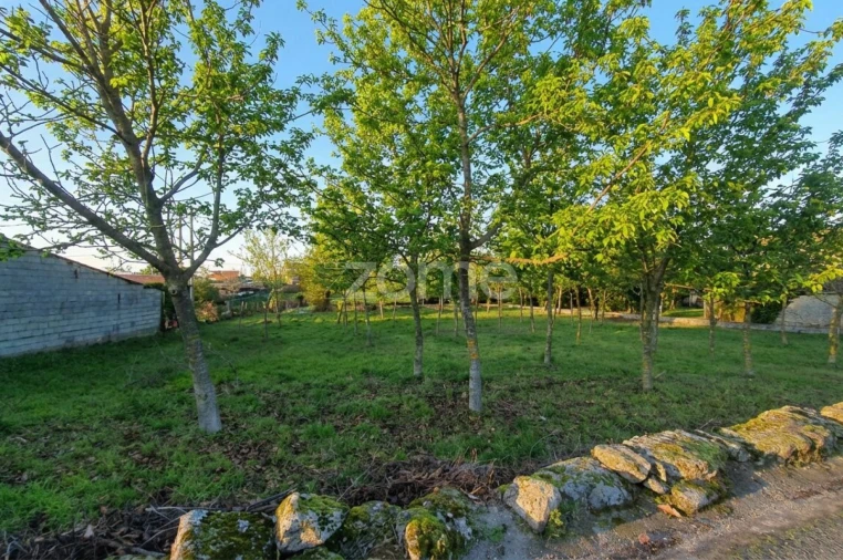 Terreno para Venda em Águas Boas e Forles Foto 11