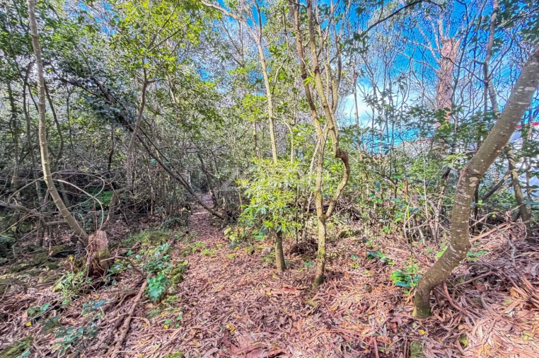 Terreno para Venda em Rabo de Peixe Foto 12