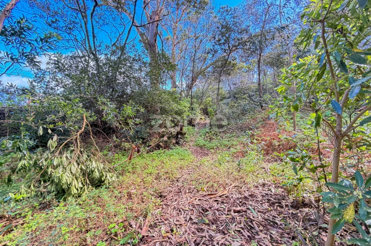 Terreno para Venda em Rabo de Peixe Foto 14