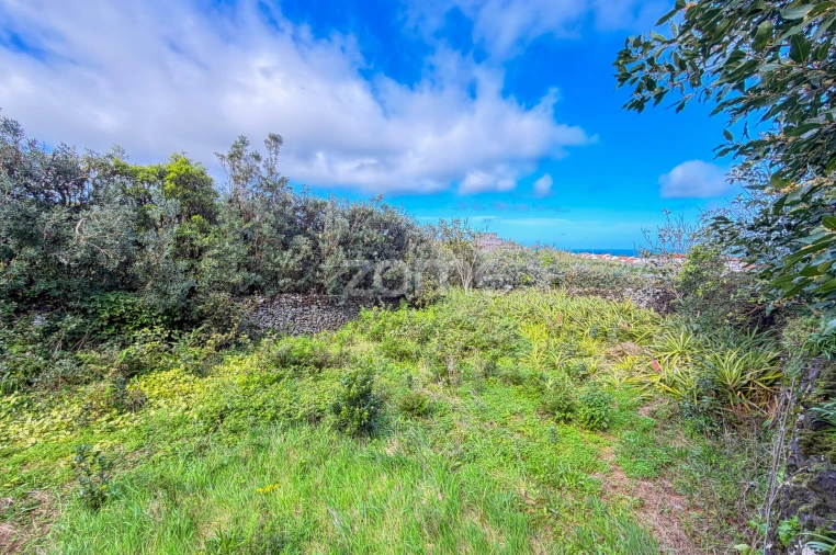 Terreno para Venda em Rabo de Peixe Foto 15